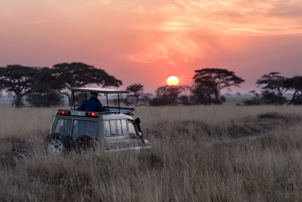 Family Safari Holidays — Marvel Travel & Logistics