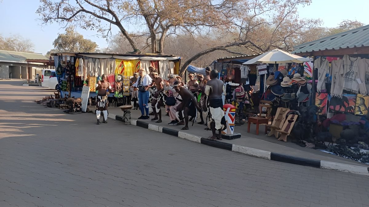 Zimbabwe safari and Victoria Falls experience by Marvel Tours & Logistics