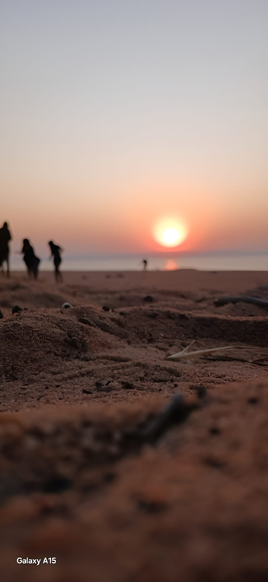 Zimbabwe safari and Victoria Falls experience by Marvel Tours & Logistics