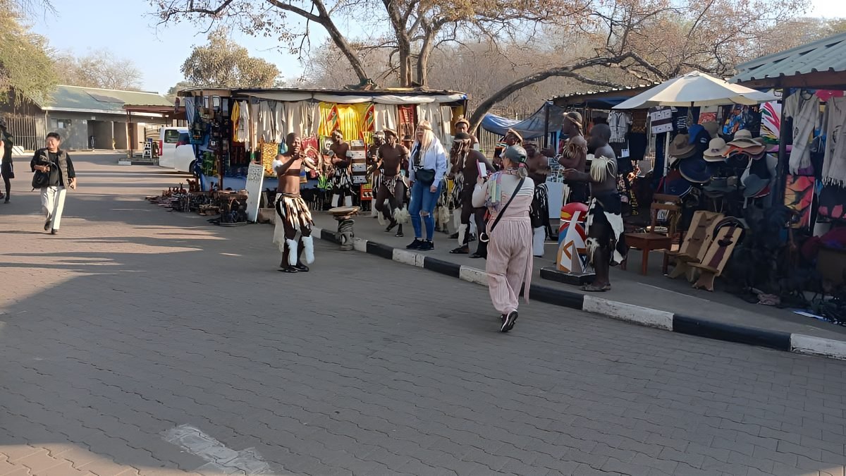 Zimbabwe safari and Victoria Falls experience by Marvel Tours & Logistics