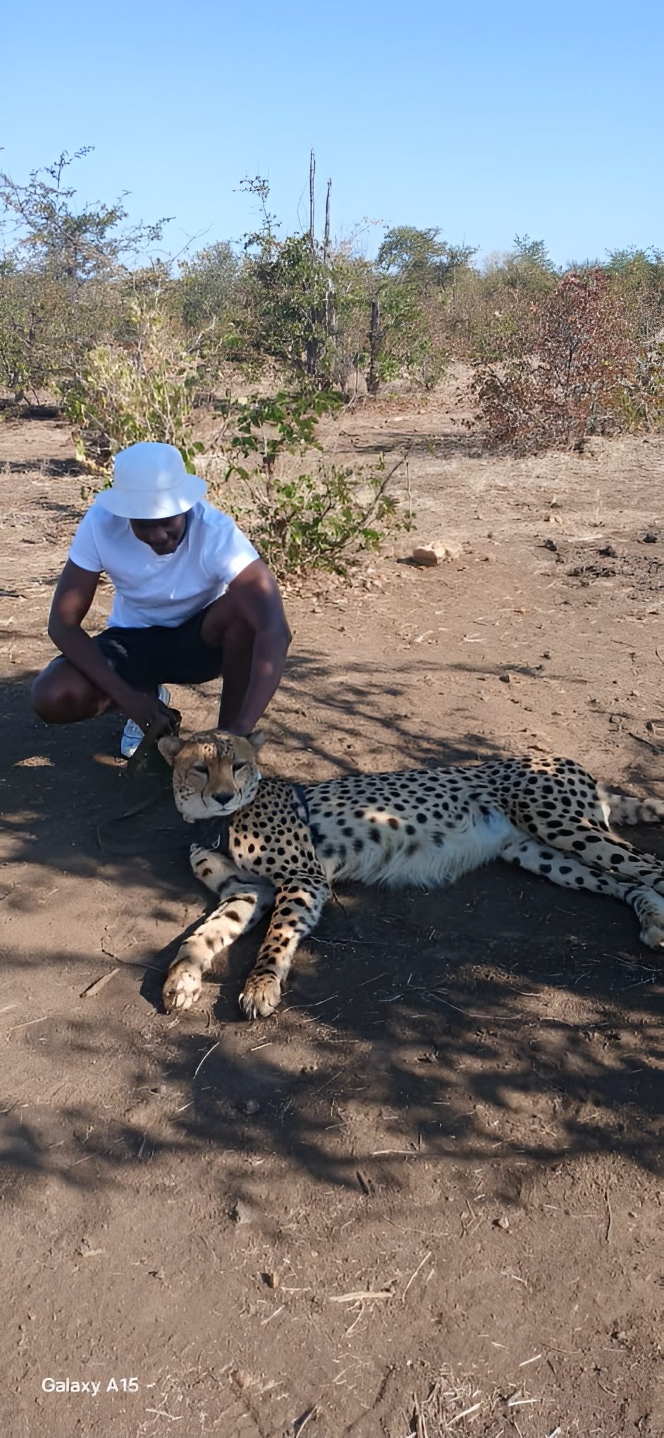 Zimbabwe safari and Victoria Falls experience by Marvel Tours & Logistics