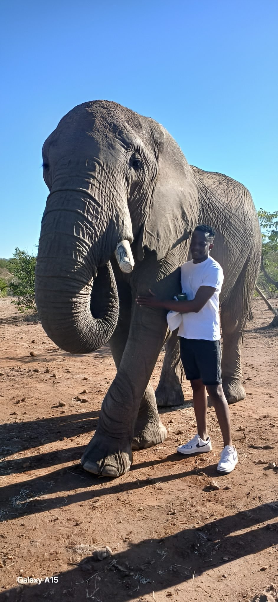 Zimbabwe safari and Victoria Falls experience by Marvel Tours & Logistics