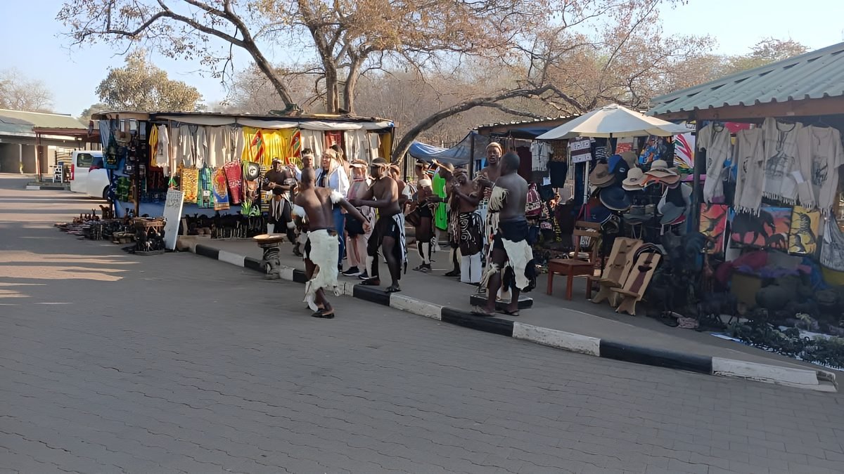 Zimbabwe safari and Victoria Falls experience by Marvel Tours & Logistics