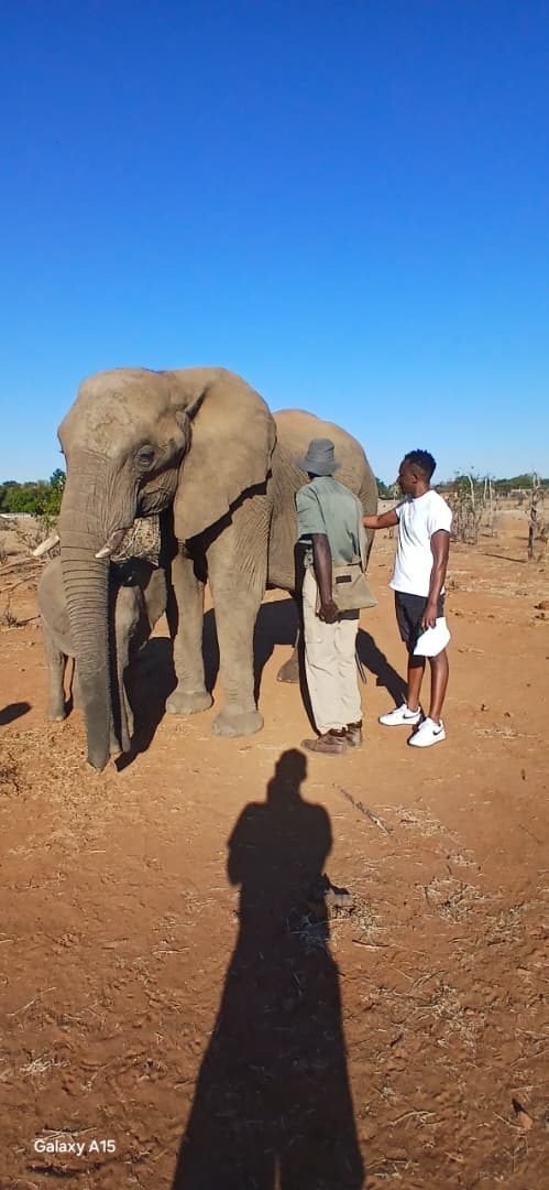 Zimbabwe safari and Victoria Falls experience by Marvel Tours & Logistics