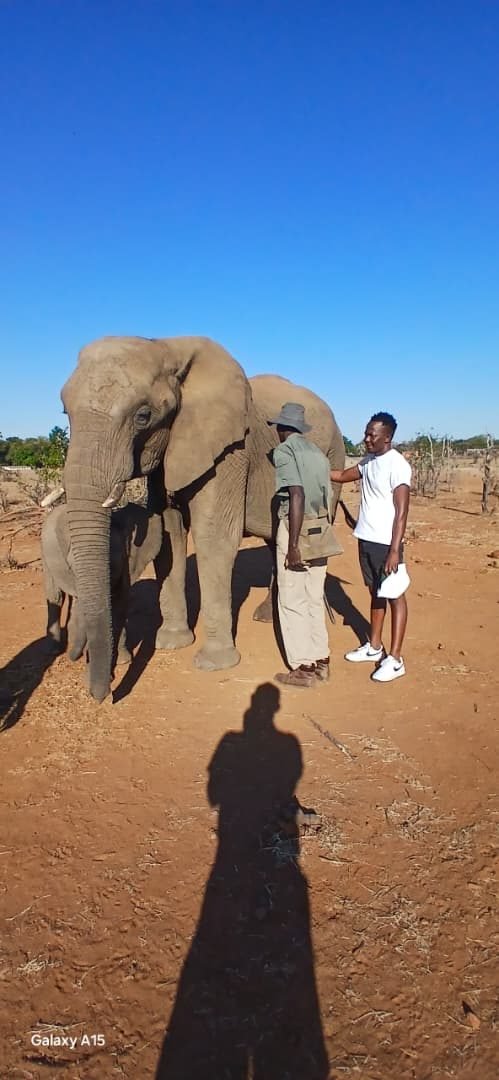 Zimbabwe safari and Victoria Falls experience by Marvel Tours & Logistics