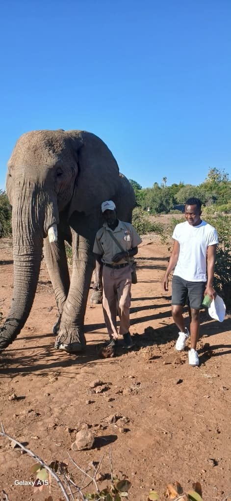 Zimbabwe safari and Victoria Falls experience by Marvel Tours & Logistics