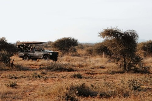 Safari jeep on a Zimbabwean game drive