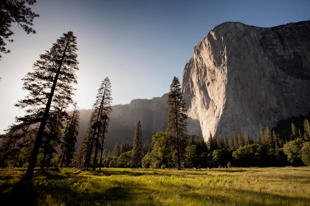Wellness & Slow Escapes — Marvel Travel & Logistics